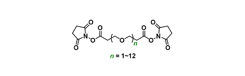 Bis-PEGn-NHS ester